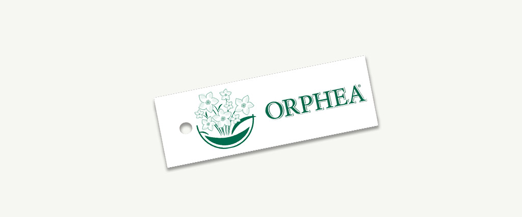 The History of Tavola SPA: 1994 Orphea® arrives in Italy.